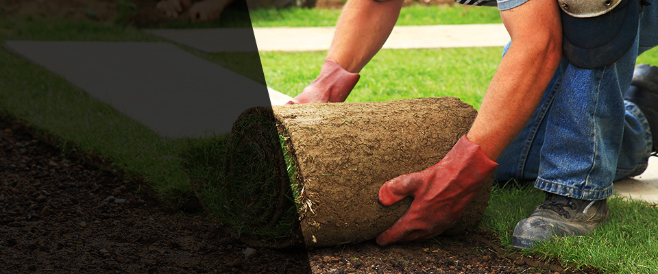 Clarkton Landscapers